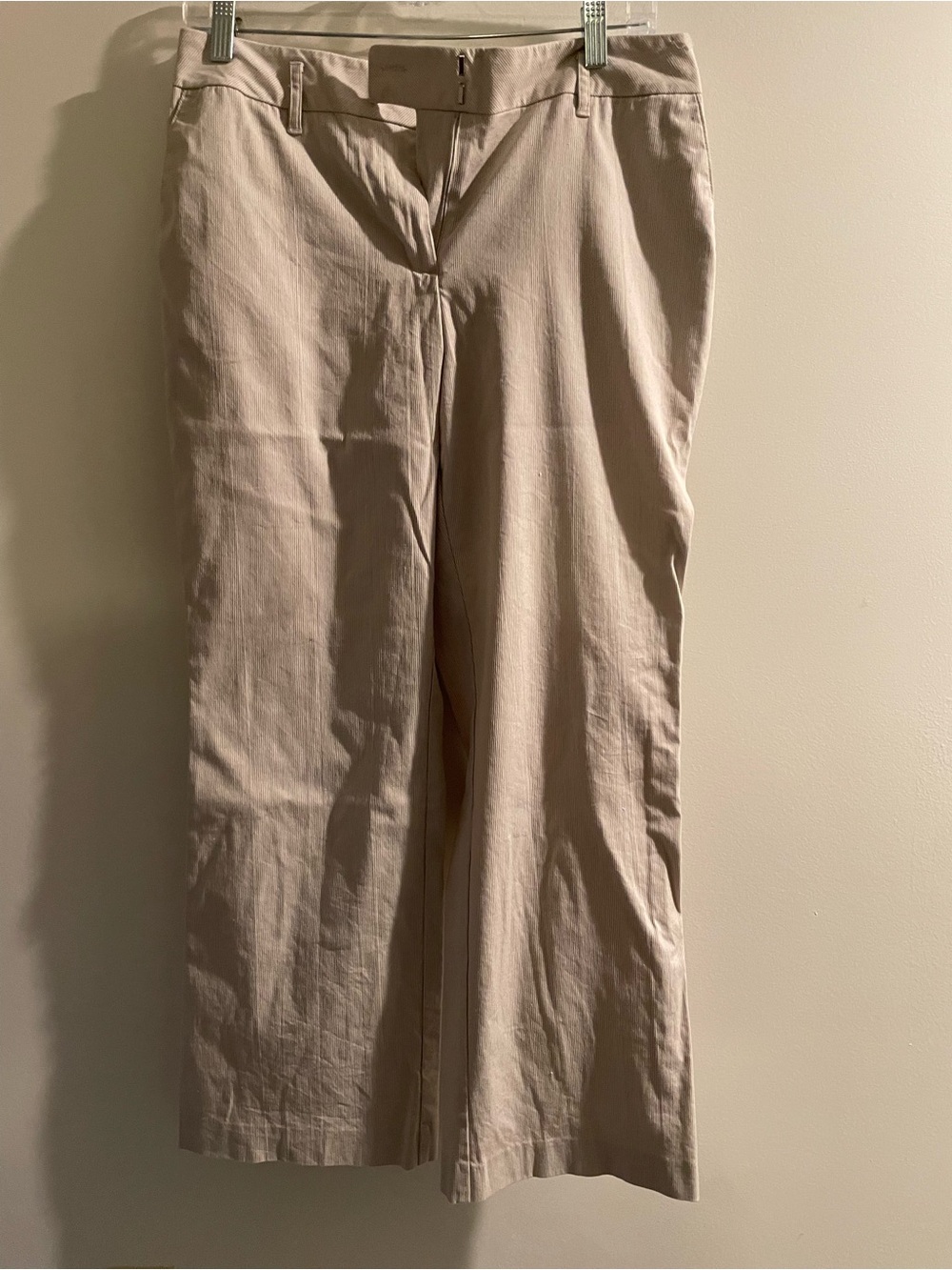 Ann Taylor Loft 10P trousers